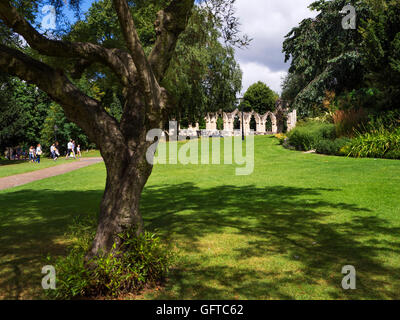 St Marys Abbey Ruinen im Museum Gärten im Sommer York Yorkshire England Stockfoto