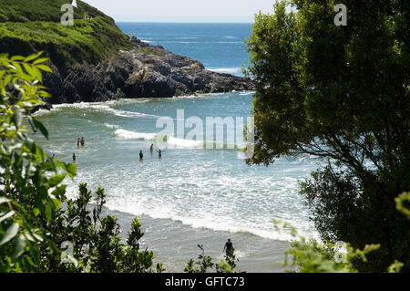 Badegäste in der Brandung in einer geschützten Bucht angesehen, durch den Wald von Küstenpfad, Caswell Bucht Gower Stockfoto