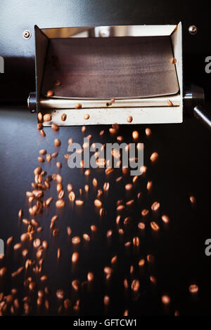 Geröstete Kaffeebohnen aus einem Sieb gegossen Stockfoto