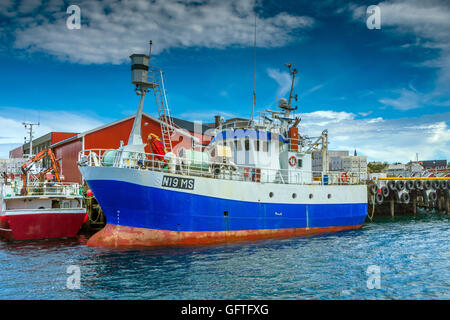 Dorsch-Boote, Rorbu Fishermens Hütten, Reine, Lofoten Inseln, Norwegen Stockfoto