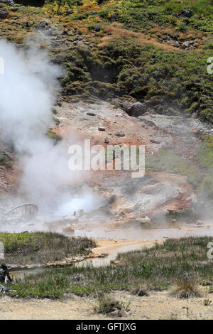 Blut-Geysir, Künstler Paintpots, Yellowstone-Nationalpark Stockfoto