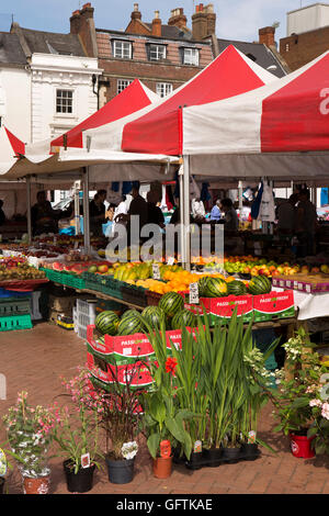 Großbritannien, England, Northamptonshire, Northampton, Marktplatz, Gartenpflanzen außerhalb von Obst und Gemüse stall Stockfoto