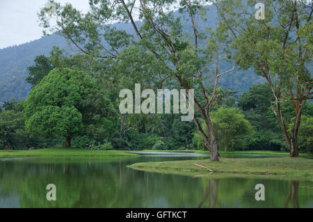 Seepark in Taiping, Malaysia Stockfoto