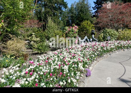 Butchart Gardens im Frühjahr, Drachen-Brunnen in temporäre Anzeige.  Der Drachen-Brunnen war ein Geschenk von der Suzhou Municipal Gove Stockfoto