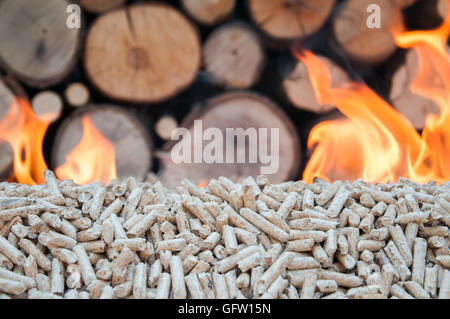 Brennen Eiche pellets vor einen Haufen von Wald Stockfoto