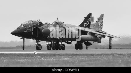 Royal Navy Sea Harrier Jump Jet teilgenommen RNAS Culdrose Luft Tag/Preview-Veranstaltung in 2016 (nur Boden Taxy Anzeige) Stockfoto