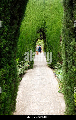 Pfad und Zypressen bilden eine Reihe von inneren Nischen in den Gärten des Generalife, Alhambra, Granada, Spanien. Stockfoto