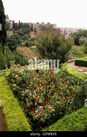 Gärten des Generalife mit komplexen hinter Alhambra, Granada, Andalusien, Spanien. Stockfoto