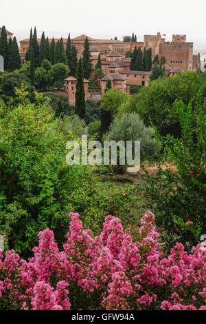 Gärten des Generalife mit komplexen hinter Alhambra, Granada, Andalusien, Spanien. Stockfoto