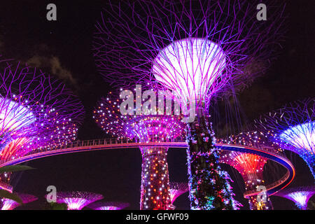 Singapur - Januar 15: Nachtansicht Supertree Grove Gardens an der Bucht am 15. Januar 2016 in Singapur. 101 Hecta überspannt Stockfoto