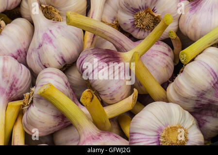 Closeps Lebensmittel, Meeresfrüchte, Gemüse, Knoblauch, Blumenkohl Stockfoto