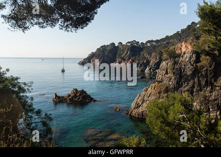 Versteckten Strand in Calella de Palafrugell, Costa Brava. Stockfoto