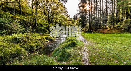 Slieve Bloom Mountains Co Offaly Irland Stockfoto