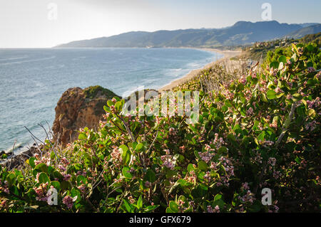 Point Dume State Beach Stockfoto