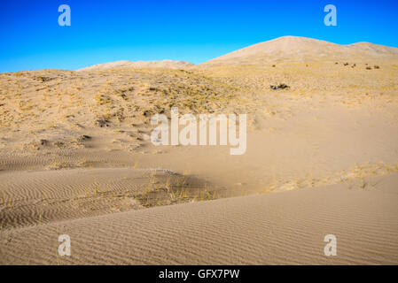 Niedrige silbrige und braune Sträucher breiten sich über eine sandige Ebene unter einem blauen Gebirgszug im Mojave National Preserve, Kalifornien, aus. Stockfoto