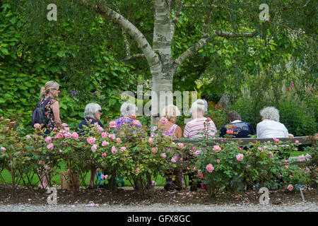 Gruppe von Frauen in Führungspositionen sitzen hinter einem Rosenbusch in RHS Wisley Gardens, Surrey, England Stockfoto