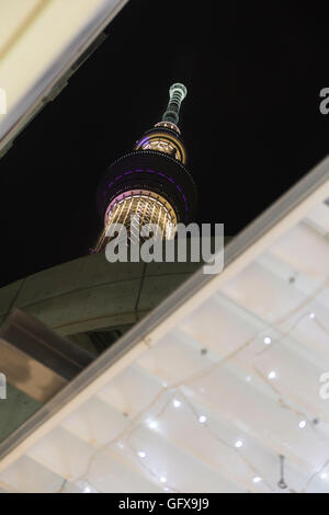 Ansicht von unten bis zu den Sky Tree Tower in Tokio, Japan Stockfoto