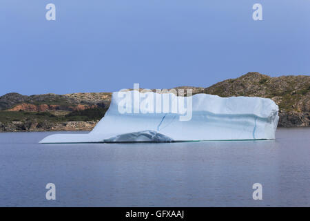 Eisberg am kleinen Hafen auf der Südinsel Twillingate, Neufundland und Labrador, Kanada. Stockfoto