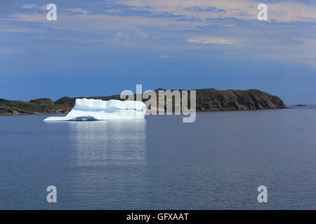 Eisberg am kleinen Hafen auf der Südinsel Twillingate, Neufundland und Labrador, Kanada. Stockfoto