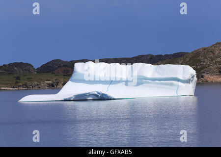 Eisberg am kleinen Hafen auf der Südinsel Twillingate, Neufundland und Labrador, Kanada. Stockfoto