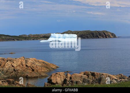 Eisberg am kleinen Hafen auf der Südinsel Twillingate, Neufundland und Labrador, Kanada. Stockfoto