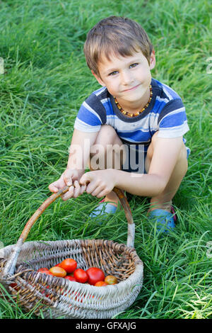 Kleiner Junge hält Korb mit Bio-Gemüse auf dem grünen Rasen. Im Freien. Frisch geerntete Tomaten. Stockfoto