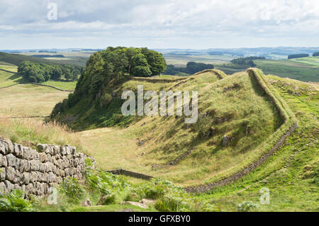 Blick entlang der Hadrianswall Blick nach Osten in Richtung Hotbank Felsen in der Nähe von Housesteads, Northumberland, England, UK Stockfoto