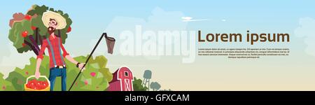 Landwirt sammeln Äpfel im Garten Obsternte Stock Vektor