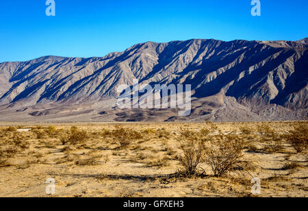 Anza-Borrego Desert State Park Stockfoto