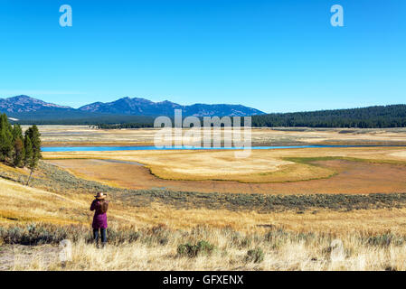 Junge Frau, Blick auf ein Tal im Yellowstone National Park Stockfoto