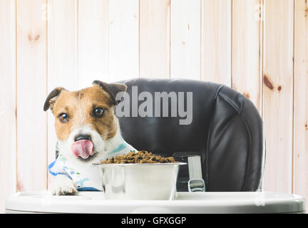 Hund Essen Trockenfutter aus Schüssel im Holzhaus Stockfoto