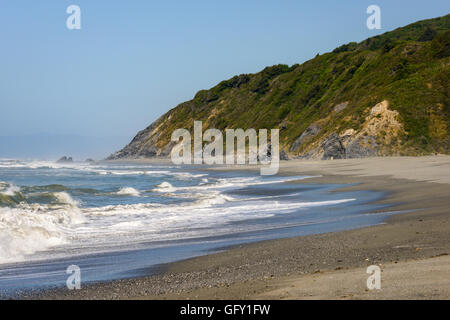 Redwood Nationalpark Stockfoto