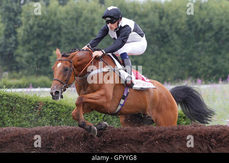 Clairefontaine-Deauville, Normandie, Frankreich. 1. August 2016. Michel AREXY zeigt Vapalo - F Tett Credit: Action Plus Sport Bilder/Alamy Live News Stockfoto