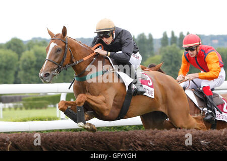 Clairefontaine-Deauville, Normandie, Frankreich. 1. August 2016. Prix von Glyzinien mit stilvollen Katze geritten von Dylan Ubeda Credit: Action Plus Sport Bilder/Alamy Live News Stockfoto