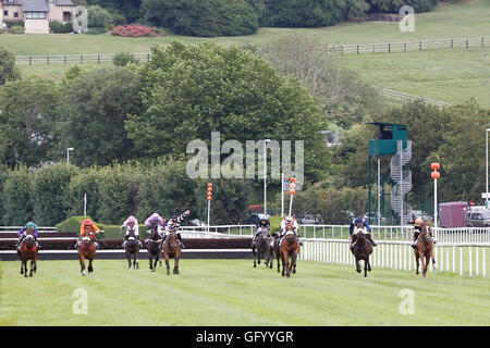 Clairefontaine-Deauville, Normandie, Frankreich. 1. August 2016. Prix von Glyzinien mit stilvollen Katze geritten von Dylan Ubeda Credit: Action Plus Sport Bilder/Alamy Live News Stockfoto