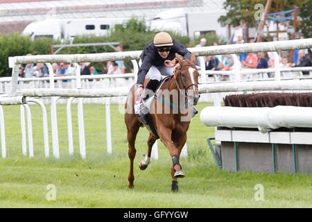 Clairefontaine-Deauville, Normandie, Frankreich. 1. August 2016. Prix von Glyzinien mit stilvollen Katze geritten von Dylan Ubeda Credit: Action Plus Sport Bilder/Alamy Live News Stockfoto