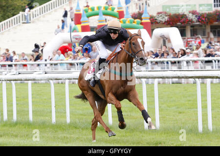 Clairefontaine-Deauville, Normandie, Frankreich. 1. August 2016. Prix von Glyzinien mit stilvollen Katze geritten von Dylan Ubeda Credit: Action Plus Sport Bilder/Alamy Live News Stockfoto