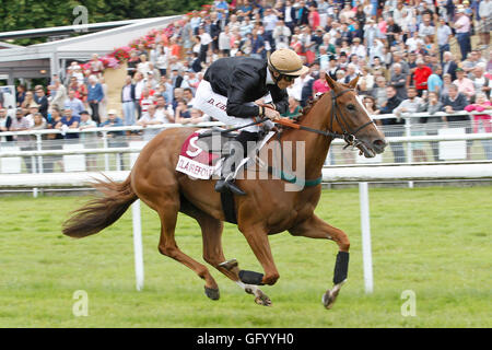 Clairefontaine-Deauville, Normandie, Frankreich. 1. August 2016. Prix von Glyzinien mit stilvollen Katze geritten von Dylan Ubeda Credit: Action Plus Sport Bilder/Alamy Live News Stockfoto