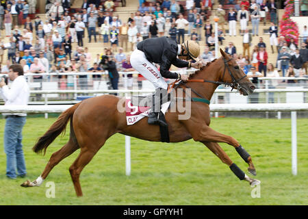 Clairefontaine-Deauville, Normandie, Frankreich. 1. August 2016. Prix von Glyzinien mit stilvollen Katze geritten von Dylan Ubeda Credit: Action Plus Sport Bilder/Alamy Live News Stockfoto