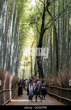 Arashiyama Bambushain, Kyoto, Japan Stockfoto