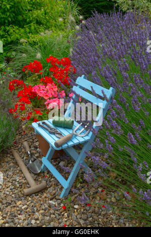 Lavendel Grenze Hidcote Vielfalt und Topfpflanzen Geranien mit blauen Stuhl im Bauerngarten Stockfoto