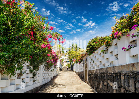 blühenden Gasse Straße in Los Gigantes Wohn Bereich Teneriffa Spanien Stockfoto