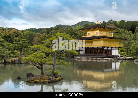 Tempel des Goldenen Pavillon Kinkaku-Ji, Kyoto, Japan Stockfoto