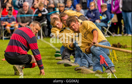 Dufftown, Moray, Schottland, Großbritannien. 30. Juli 2016. Dies ist die Aktivität in Dufftown Highland Games, Moray, Schottland. Stockfoto