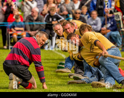 Dufftown, Moray, Schottland, Großbritannien. 30. Juli 2016. Dies ist die Aktivität in Dufftown Highland Games, Moray, Schottland. Stockfoto