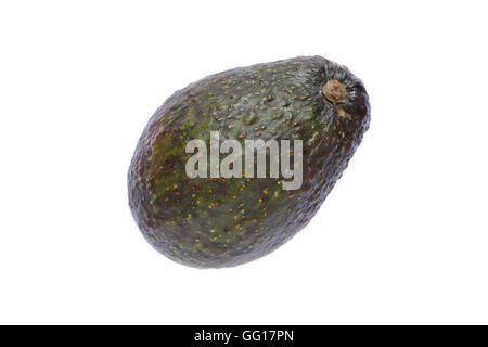 perfekte Reife schwarze Avocado isoliert Stockfoto