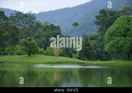 Seepark in Taiping, Malaysia Stockfoto