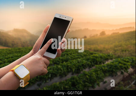 Junge Frau trägt gelbe Uhr morgen rechtzeitig auf Smartphone-Bildschirm mit verschwommenen Natur Hintergrund berühren Stockfoto