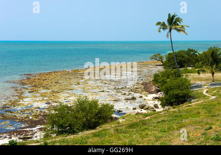 Strand einer der Florida Keys Stockfoto