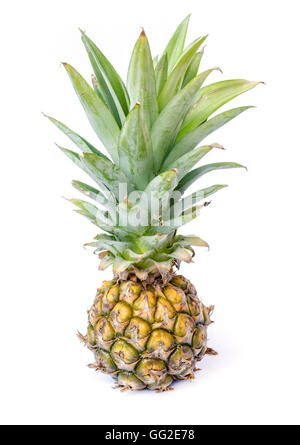 Eine Ananas Frucht isoliert auf weißem Hintergrund. Stockfoto